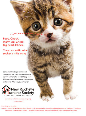 New Rochelle Humane Society