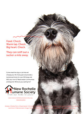 New Rochelle Humane Society